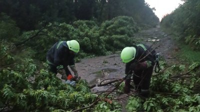 На Черкащині внаслідок негоди 20 населених пунктів знеструмлені