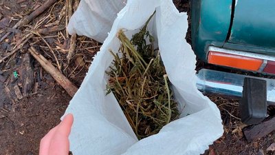 Гранатомет, артилерійські снаряди та наркотики: у жителя Чернігівського району виявили боєприпаси та пів кіло конопель