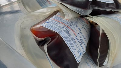 Запаси крові Запаси крові