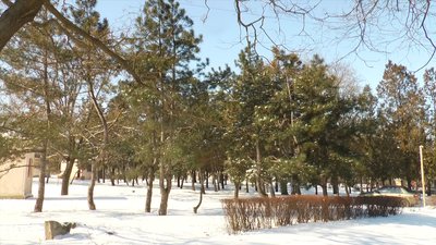 Негода на Миколаївщині: дороги області відкриті для руху транспорту Негода на Миколаївщині: дороги області відкриті для руху транспорту