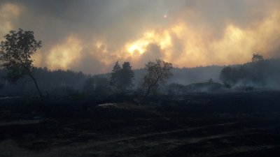 Пожежа на Дворічанщині: лісники виявили два місця підпалу на сміттєвому полігоні