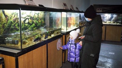 Грифові, зірчасті та вугільні: у Вінницю із Харкова привезли виставку черепах Грифові, зірчасті та вугільні: у Вінницю із Харкова привезли виставку черепах