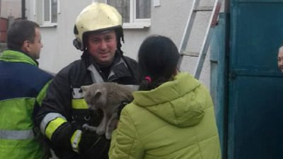 Дві доби з даху будинку у Хусті не могли зняти кота
