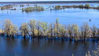 Погода у Чернігові: якою була погода у квітні на Чернігівщині