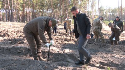 Мільйон сіянців – за тиждень: на Черкащині саджають ліс Мільйон сіянців – за тиждень: на Черкащині саджають ліс