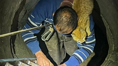 Чоловік із котом у селі Шабельня, 8 квітня 2025