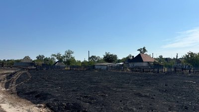 "Воду лили, а воно горить": як гасили лісову пожежу у Вергунах на Черкащині "Воду лили, а воно горить": як гасили лісову пожежу у Вергунах на Черкащині