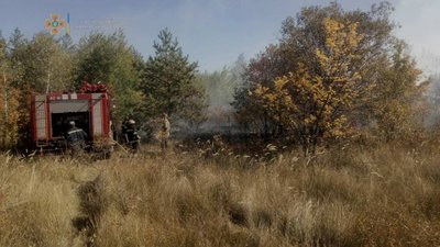 Стало відомо, скільки жителів Харківщини оштрафували через спалювання листя Стало відомо, скільки жителів Харківщини оштрафували через спалювання листя
