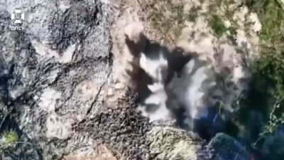 Чернігівські прикордонники знищили російські авто та укриття біля кордону 