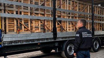 Виявлені колоті букові дрова