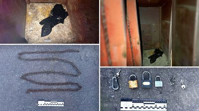 Зв’язувала руки, ноги та закривала рот металевими ланцюгами: на Вінниччині жінка катувала 12-річного сина