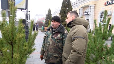 У Житомирі почали працювати ялинкові базари У Житомирі почали працювати ялинкові базари