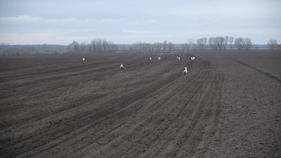Посівна кампанія 2022: В громаді на Вінниччині ярими культурами засіяли 40% від запланованих площ Посівна кампанія 2022: В громаді на Вінниччині ярими культурами засіяли 40% від запланованих площ