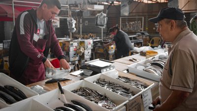 З бичком, але без тюльки: яку рибу продають на Привозі в Одесі та скільки вона коштує. ФОТО З бичком, але без тюльки: яку рибу продають на Привозі в Одесі та скільки вона коштує. ФОТО