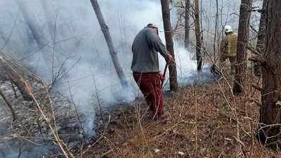 На Тернопільщині горів ліс