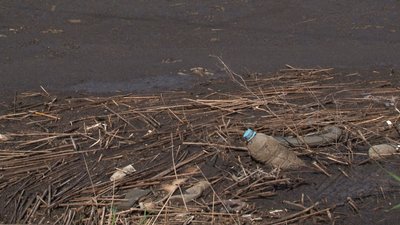 Жителі Черкащини скаржаться на відходи свинокомплексу Жителі Черкащини скаржаться на відходи свинокомплексу