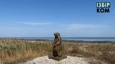 Мертві дельфіни, висохлі озера і голодні кулики: як російська агресія шкодить природі Одещини Мертві дельфіни, висохлі озера і голодні кулики: як російська агресія шкодить природі Одещини