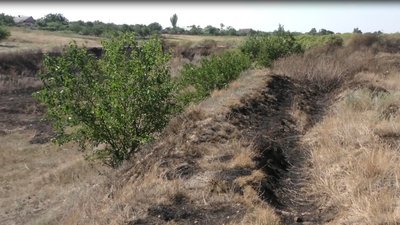 35 пожеж з початку літа: чому горять Станіславські балки 35 пожеж з початку літа: чому горять Станіславські балки