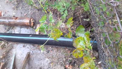 Мешканці одного із будинків Тернополя протестують Мешканці одного із будинків Тернополя протестують