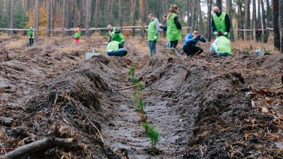 Акція "Мільйон дерев за добу": скільки молодняка встигли висадити на Харківщині Акція "Мільйон дерев за добу": скільки молодняка встигли висадити на Харківщині