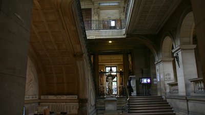 У Франції правоохоронці розслідують заяви про те, що призначені для науки тіла залишили пацюкам