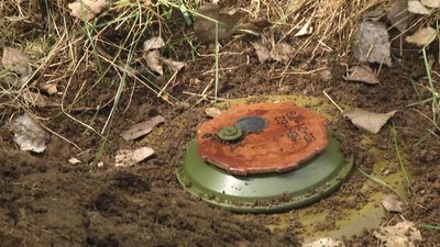 На півночі Житомирщини сапери територіальної оборони проводять роботи з розмінування На півночі Житомирщини сапери територіальної оборони проводять роботи з розмінування