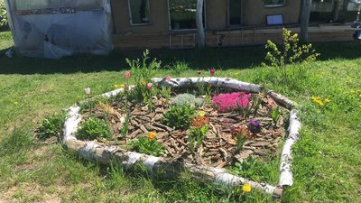 пересилилися в поле пересилилися в поле