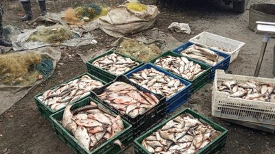 У Кіровоградській області затримали браконьєрів