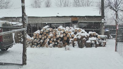 Дрова для буржуйок директор центру заготовляє самостійно Дрова для буржуйок директор центру заготовляє самостійно