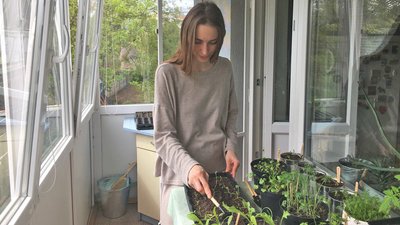 Від кропу до томатів: лучанка вирощує на балконі 20 видів городини Від кропу до томатів: лучанка вирощує на балконі 20 видів городини
