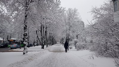 Харків сніг зима