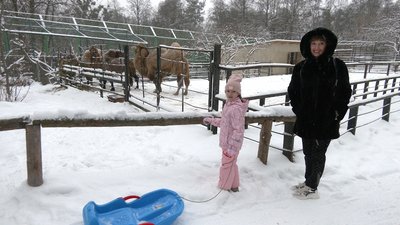 Як готуються до похолодання у Рівненському зоопарку Як готуються до похолодання у Рівненському зоопарку