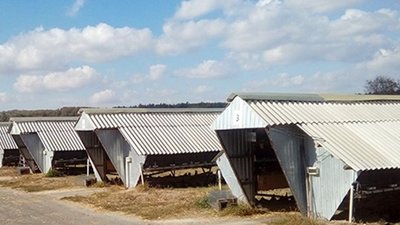 рейдерство, мешканці дніпра, хмельницький