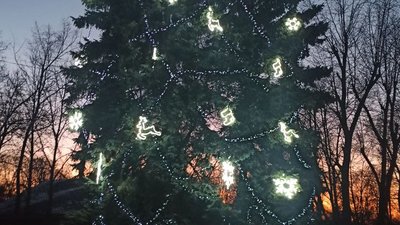 Прикрасили дві ялинки біля центрального парку. Як у Добропіллі готуються до новорічних свят