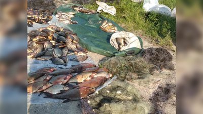 На Чернігівщині виявили чоловіків, які наловили 286 рибин на майже 500 тисяч гривень