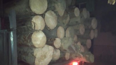 Чергову вантажівку з нелегальною деревиною зупинили правоохоронці на Закарпатті