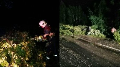Наслідки негоди на Волині: дві пожежі та поламані дерева Наслідки негоди на Волині: дві пожежі та поламані дерева
