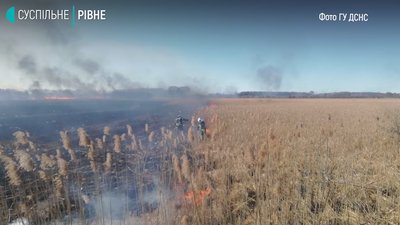 Біля Рівного рятувальники гасили польову пожежу