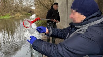 тернопіль, забруднення збруча, 31 серпня 2026 року