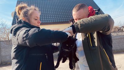 Аби запобігти захворюванню: на Черкащині щеплюють тварин від сказу Аби запобігти захворюванню: на Черкащині щеплюють тварин від сказу
