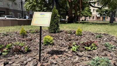 У Кропивницькому з'явилась "Клумба сімейної сили" – Суспільне Кропивницький