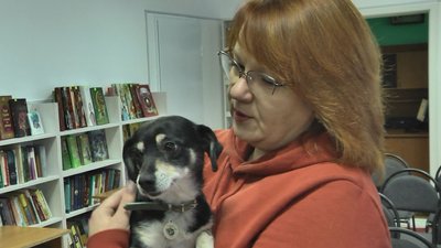 "З Ласкою в серці": в бібліотеці у Луцьку школярі знайомилися з безпритульними тваринами "З Ласкою в серці": в бібліотеці у Луцьку школярі знайомилися з безпритульними тваринами