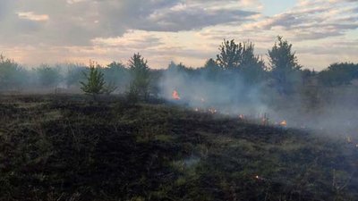 На Дніпропетровщині вигоріло 3,5 га сухої трави