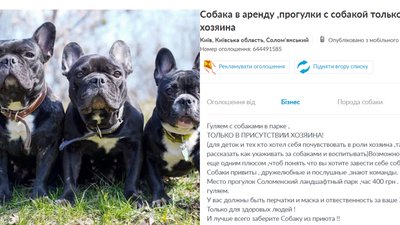Оренда собак Оренда собак