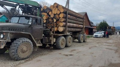 На Закарпатті поліцейські вилучили дві вантажівки з нелегальною ялиною. Їх передадуть на потреби ЗСУ