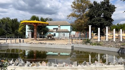 Тваринам Миколаївського зоопарку потрібна допомога Тваринам Миколаївського зоопарку потрібна допомога