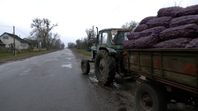 Найдорожча за 10 років: чому на Чернігівщині зросла ціна на картоплю і на скільки Найдорожча за 10 років: чому на Чернігівщині зросла ціна на картоплю і на скільки