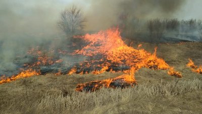 Обстріли РФ. Рятувальники Миколаївщини загасили сім пожеж Обстріли РФ. Рятувальники Миколаївщини загасили сім пожеж