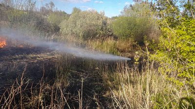 Горіло майже в кожному районі: за добу на Черкащині зафіксували сім пожеж сміття та сухостою