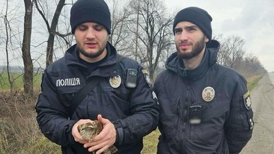 У Кривому Розі поліцейські врятували яструба зі зламаним крилом